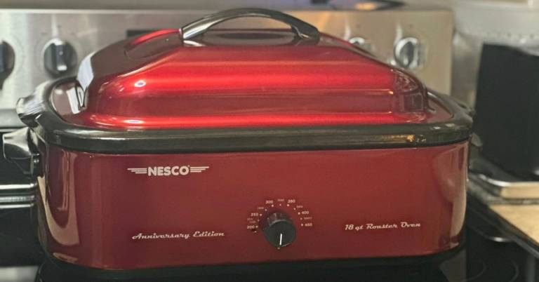Best Electric Roaster Oven