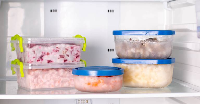 Best Freezer Storage Containers
