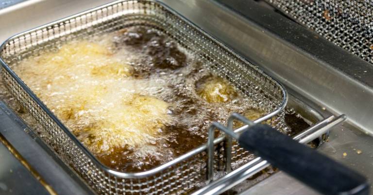 Best Indoor Electric Turkey Fryers