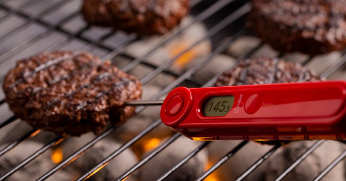 Chicken Display Probe The Best Instant Meat Thermometer For 2026