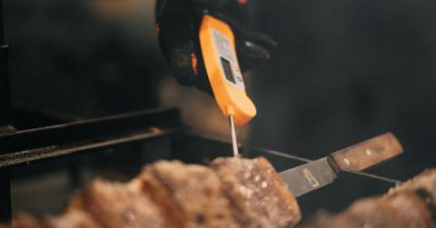 The 7 Best Meat Thermometers For 2026