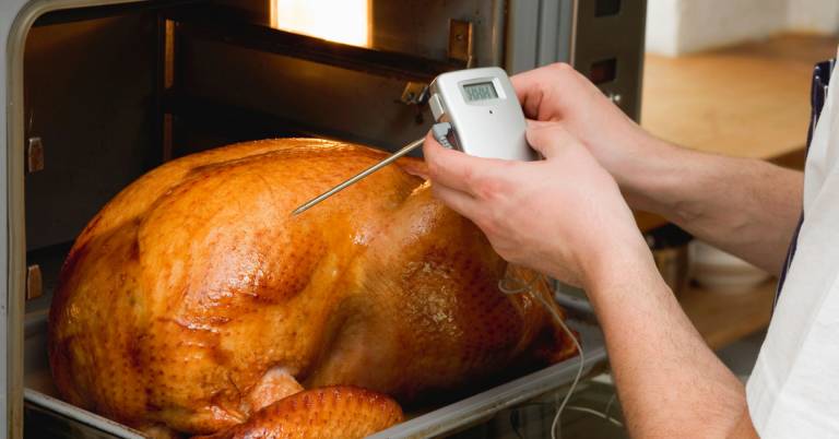 Best Oven Meat Thermometer
